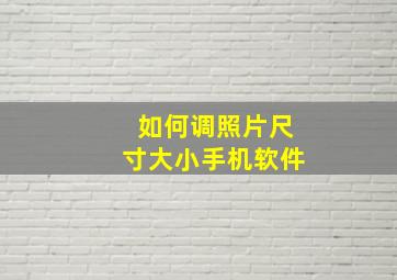 如何调照片尺寸大小手机软件