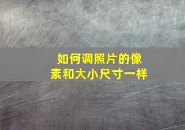 如何调照片的像素和大小尺寸一样