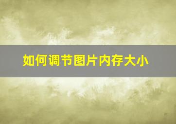 如何调节图片内存大小