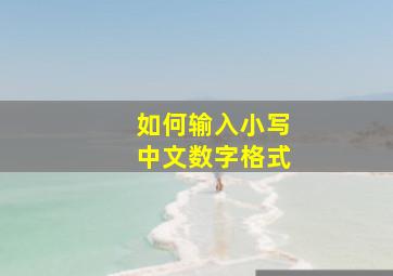 如何输入小写中文数字格式