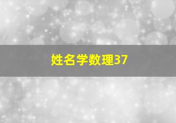 姓名学数理37