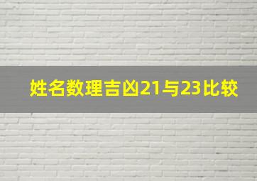 姓名数理吉凶21与23比较