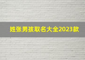 姓张男孩取名大全2023款