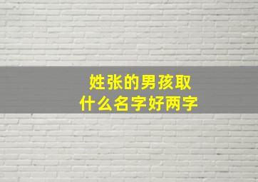 姓张的男孩取什么名字好两字