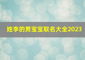 姓李的男宝宝取名大全2023