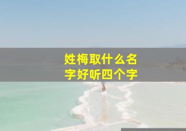 姓梅取什么名字好听四个字