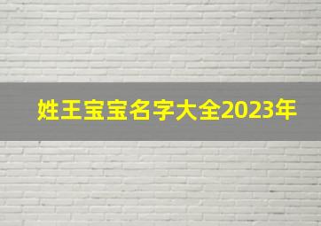 姓王宝宝名字大全2023年