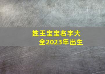 姓王宝宝名字大全2023年出生