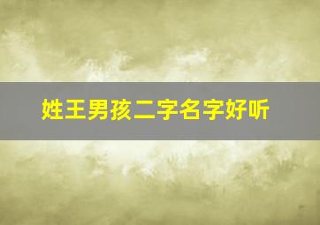 姓王男孩二字名字好听