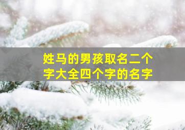 姓马的男孩取名二个字大全四个字的名字