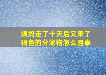 姨妈走了十天后又来了褐色的分泌物怎么回事