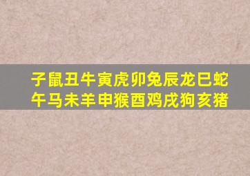 子鼠丑牛寅虎卯兔辰龙巳蛇午马未羊申猴酉鸡戌狗亥猪