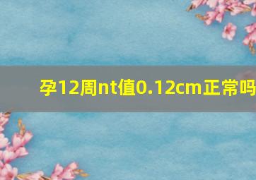 孕12周nt值0.12cm正常吗