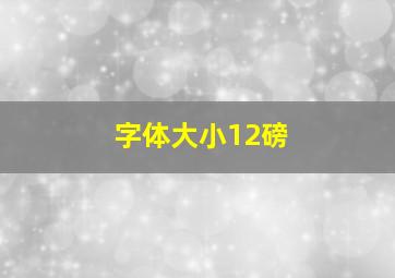 字体大小12磅