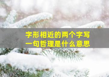 字形相近的两个字写一句哲理是什么意思