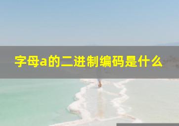 字母a的二进制编码是什么