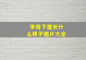 字母下面长什么样子图片大全