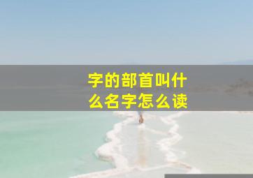 字的部首叫什么名字怎么读