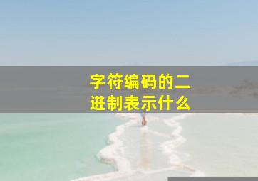 字符编码的二进制表示什么