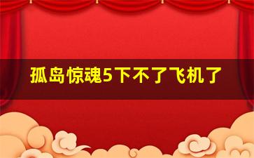 孤岛惊魂5下不了飞机了