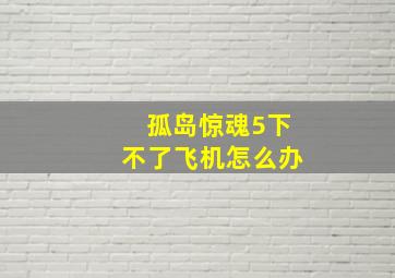 孤岛惊魂5下不了飞机怎么办