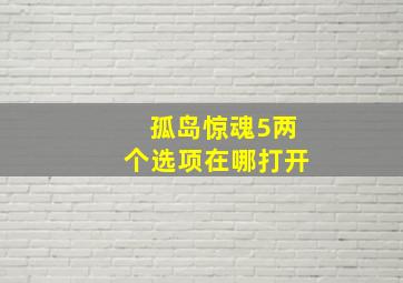 孤岛惊魂5两个选项在哪打开