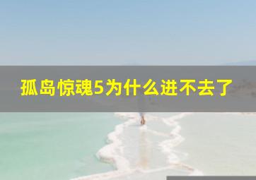 孤岛惊魂5为什么进不去了