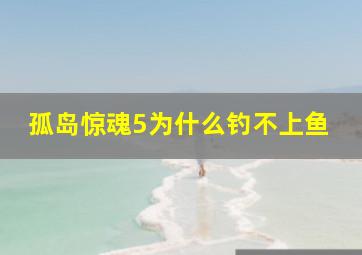 孤岛惊魂5为什么钓不上鱼