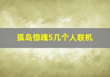 孤岛惊魂5几个人联机