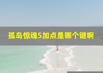 孤岛惊魂5加点是哪个键啊