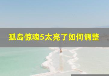 孤岛惊魂5太亮了如何调整