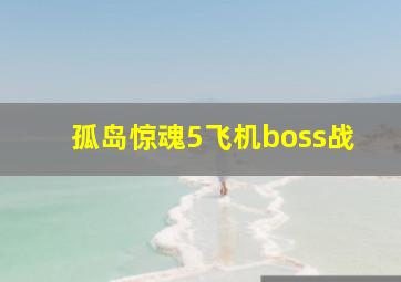 孤岛惊魂5飞机boss战