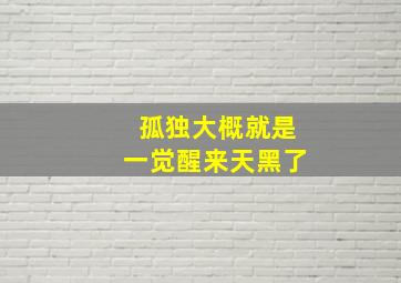 孤独大概就是一觉醒来天黑了