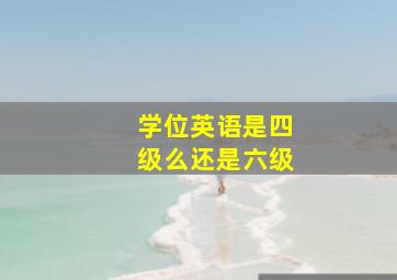 学位英语是四级么还是六级