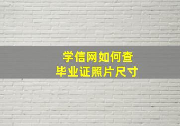 学信网如何查毕业证照片尺寸