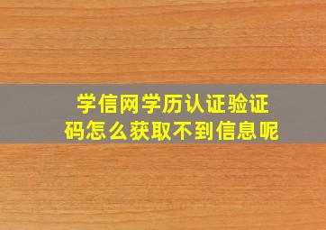 学信网学历认证验证码怎么获取不到信息呢