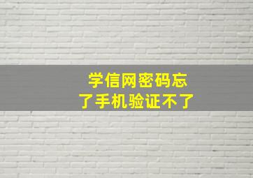 学信网密码忘了手机验证不了