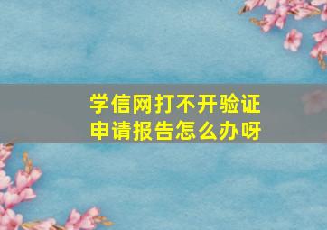 学信网打不开验证申请报告怎么办呀