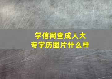 学信网查成人大专学历图片什么样