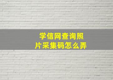 学信网查询照片采集码怎么弄