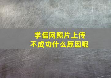 学信网照片上传不成功什么原因呢