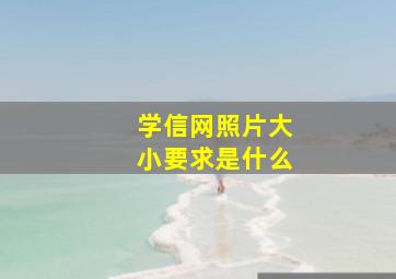 学信网照片大小要求是什么