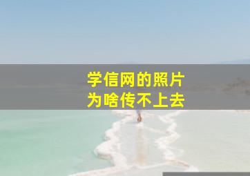 学信网的照片为啥传不上去