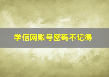 学信网账号密码不记得