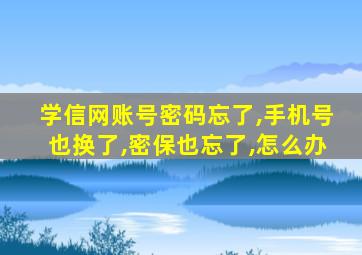 学信网账号密码忘了,手机号也换了,密保也忘了,怎么办