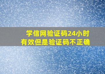 学信网验证码24小时有效但是验证码不正确