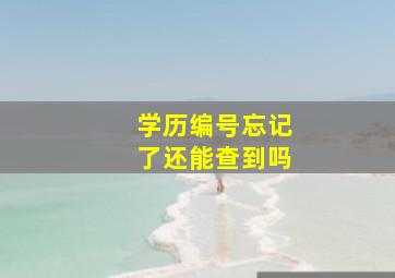 学历编号忘记了还能查到吗