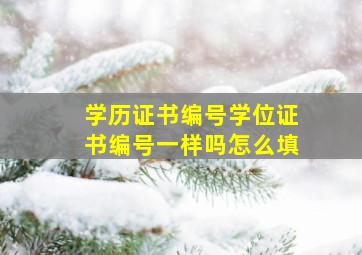 学历证书编号学位证书编号一样吗怎么填