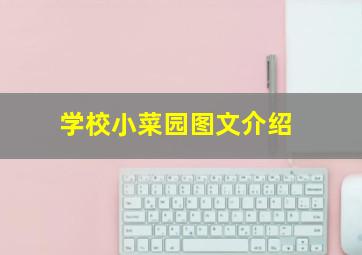 学校小菜园图文介绍