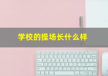 学校的操场长什么样